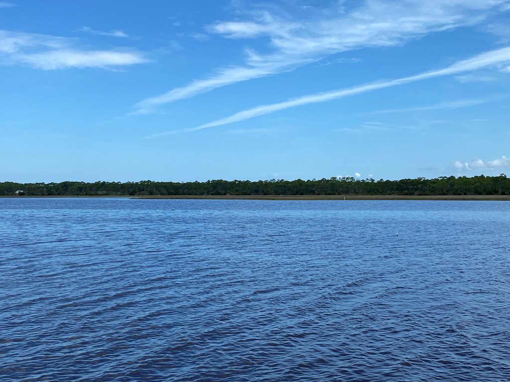 Lot 23 Indian Pass Road Port St. Joe, FL 32456 - Photo 19 of 28