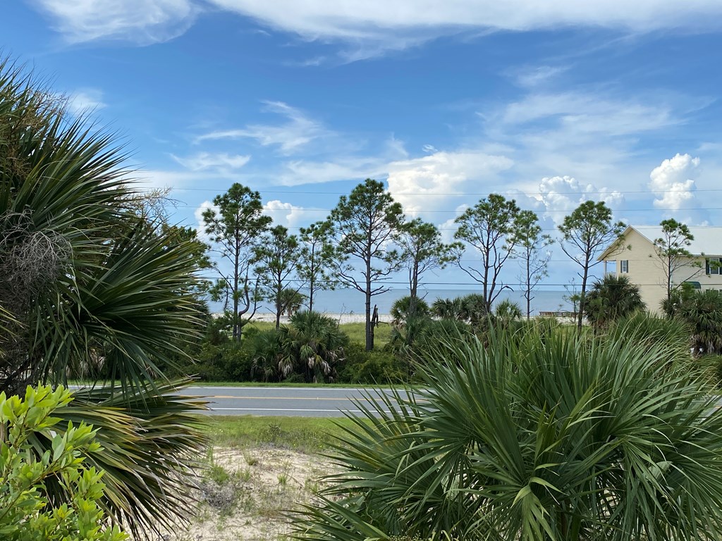 Lot 23 Indian Pass Road Port St. Joe, FL 32456 - Photo 2 of 28