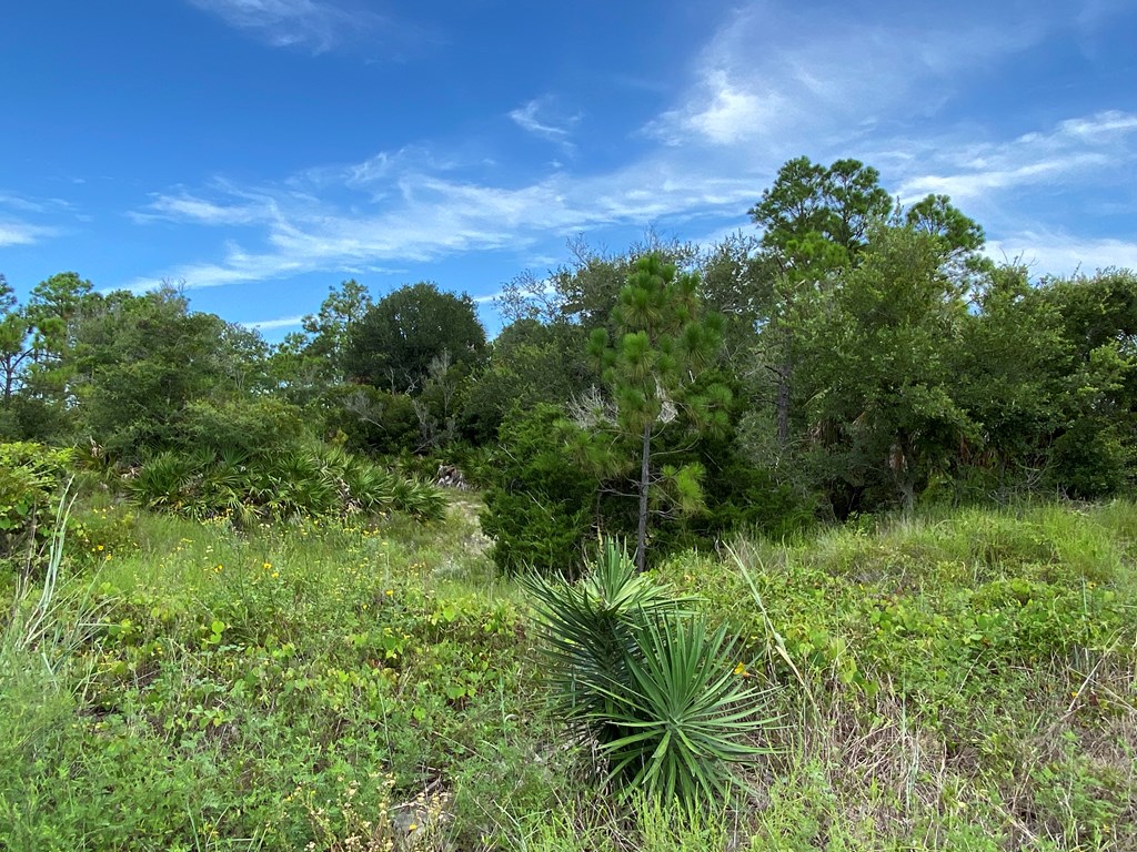 Lot 23 Indian Pass Road Port St. Joe, FL 32456 - Photo 21 of 28