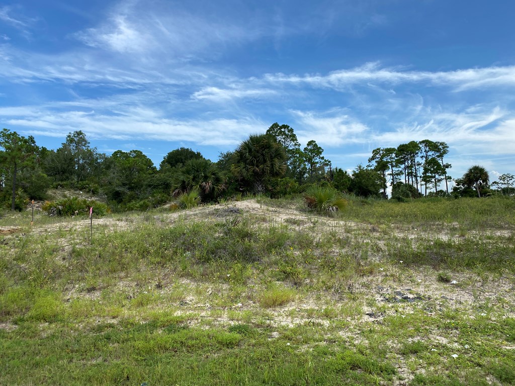 Lot 23 Indian Pass Road Port St. Joe, FL 32456 - Photo 23 of 28
