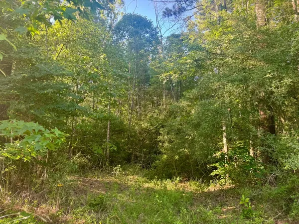 $58,000 | 1039 County Road 1039, Burkeville, TX 75932