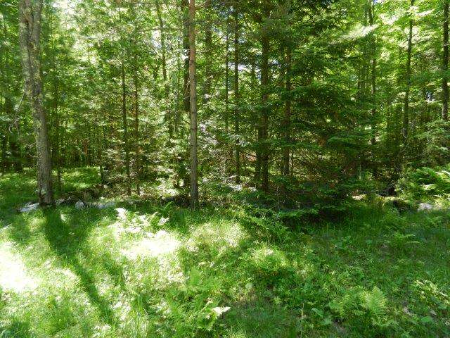 Lot B Cedar Falls Road Hazelhurst, WI 54531 - Photo 1 of 3 Gallery Image 1