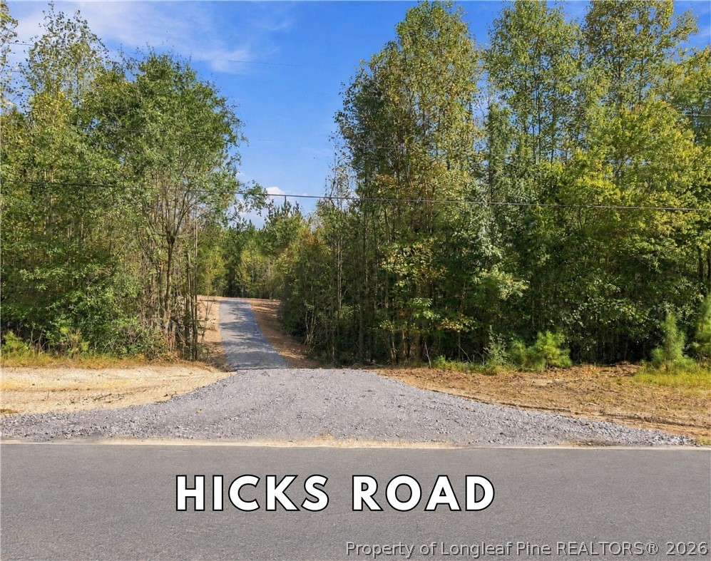 Lot 5 Capelsie Road Candor, NC 27229 - Photo 4 of 12 Gallery Image 4