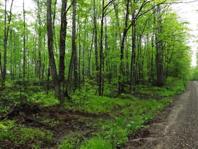 On Military Road, Unit LOT 2 Eagle River, WI 54521 - Photo 3 of 3 Gallery Image 3