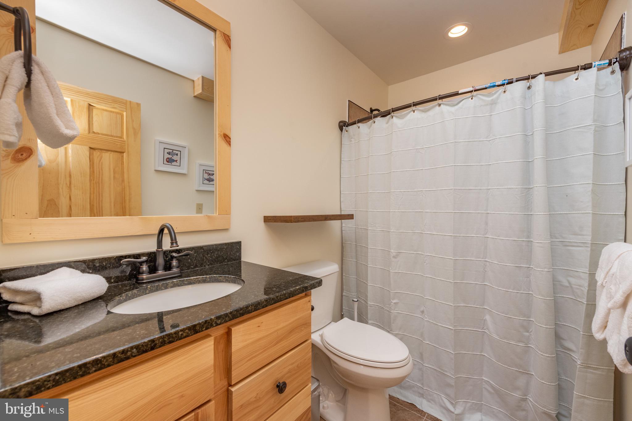 37 Ridgeline Trail McHenry, MD 21541 - Photo 24 of 59 a bathroom with a granite countertop sink toilet and a mirror