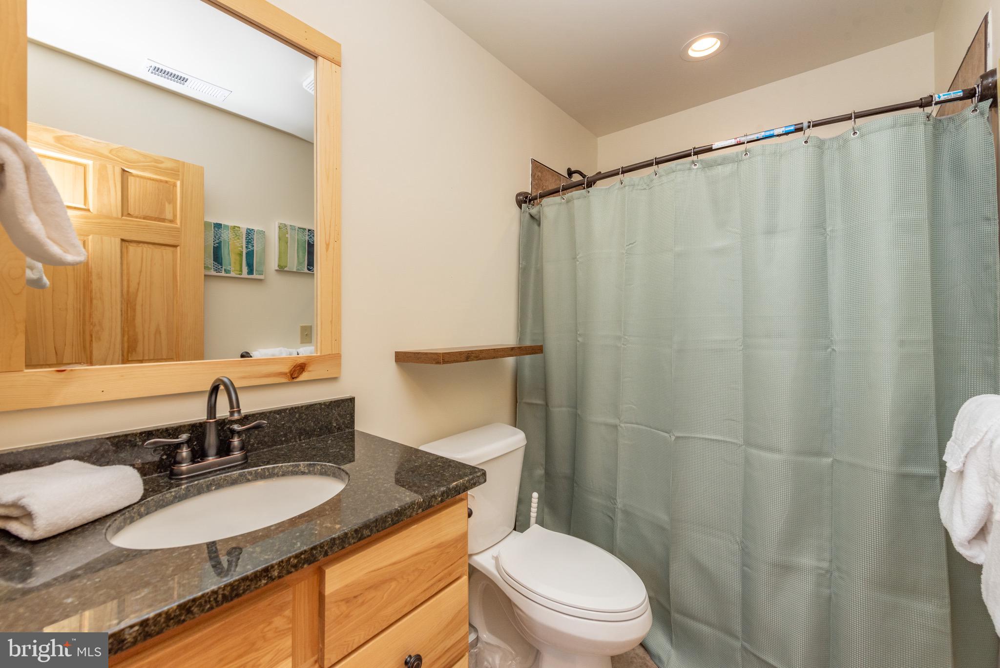 37 Ridgeline Trail McHenry, MD 21541 - Photo 35 of 59 a bathroom with a granite countertop sink toilet and shower