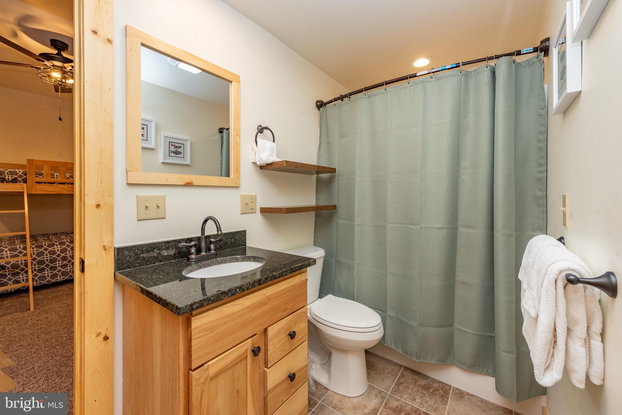 37 Ridgeline Trail McHenry, MD 21541 - Photo 47 of 59 a bathroom with a granite countertop sink toilet and shower
