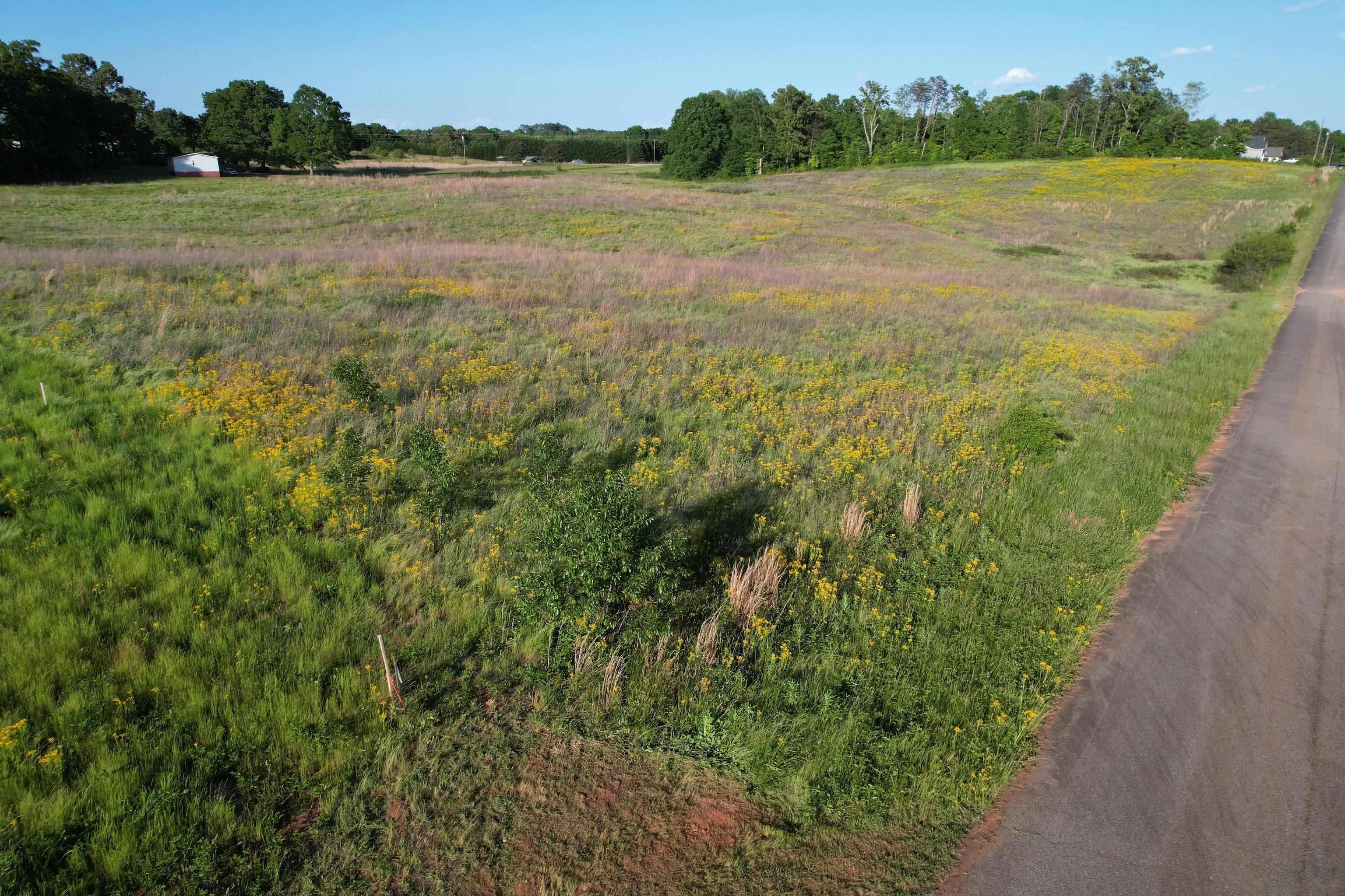 0 Bradley Road Chesnee, SC 29323 - Photo 1 of 2