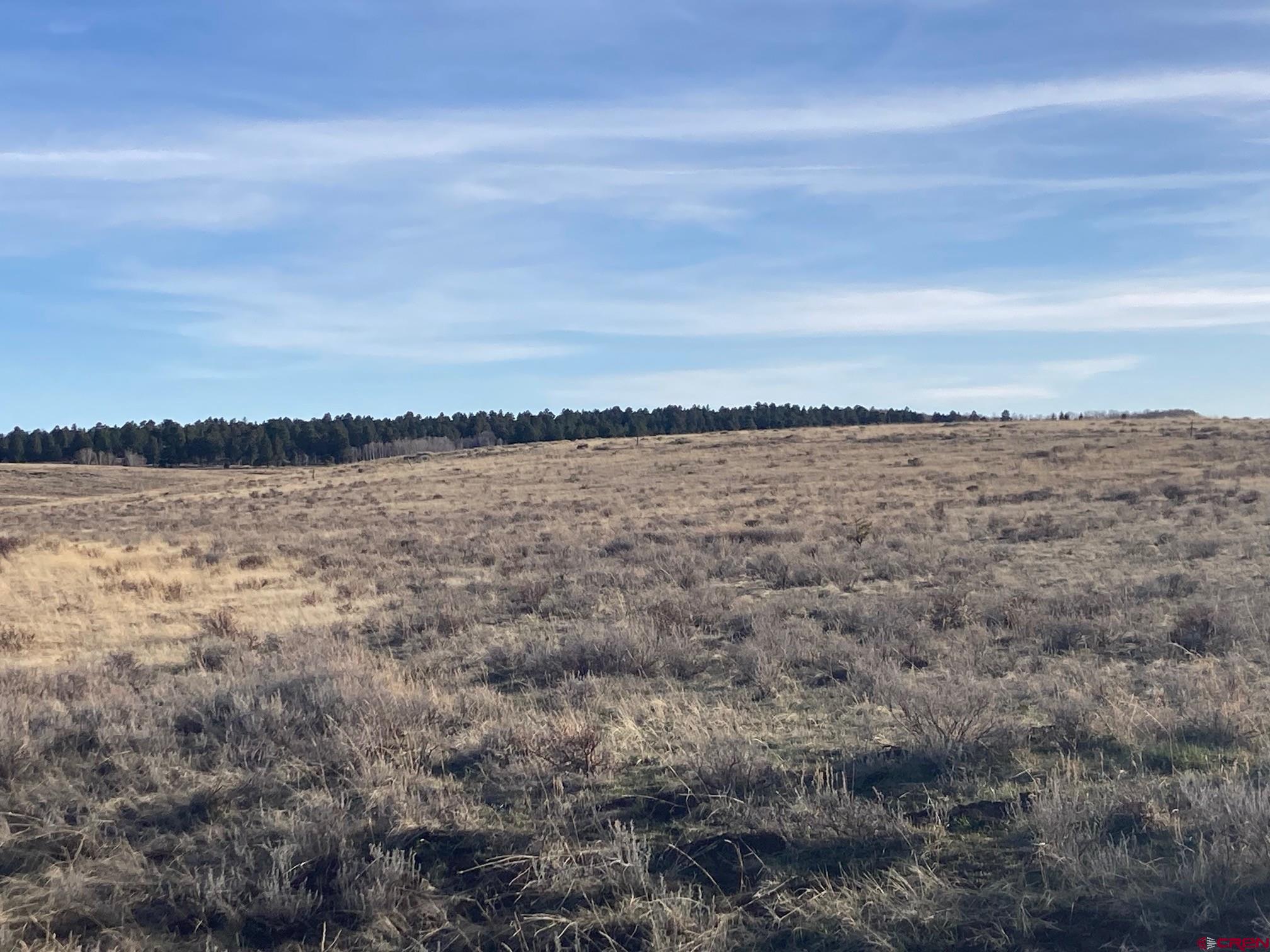 Lot 12 62x Road Placerville, CO 81430 - Photo 7 of 13 Gallery Image 7