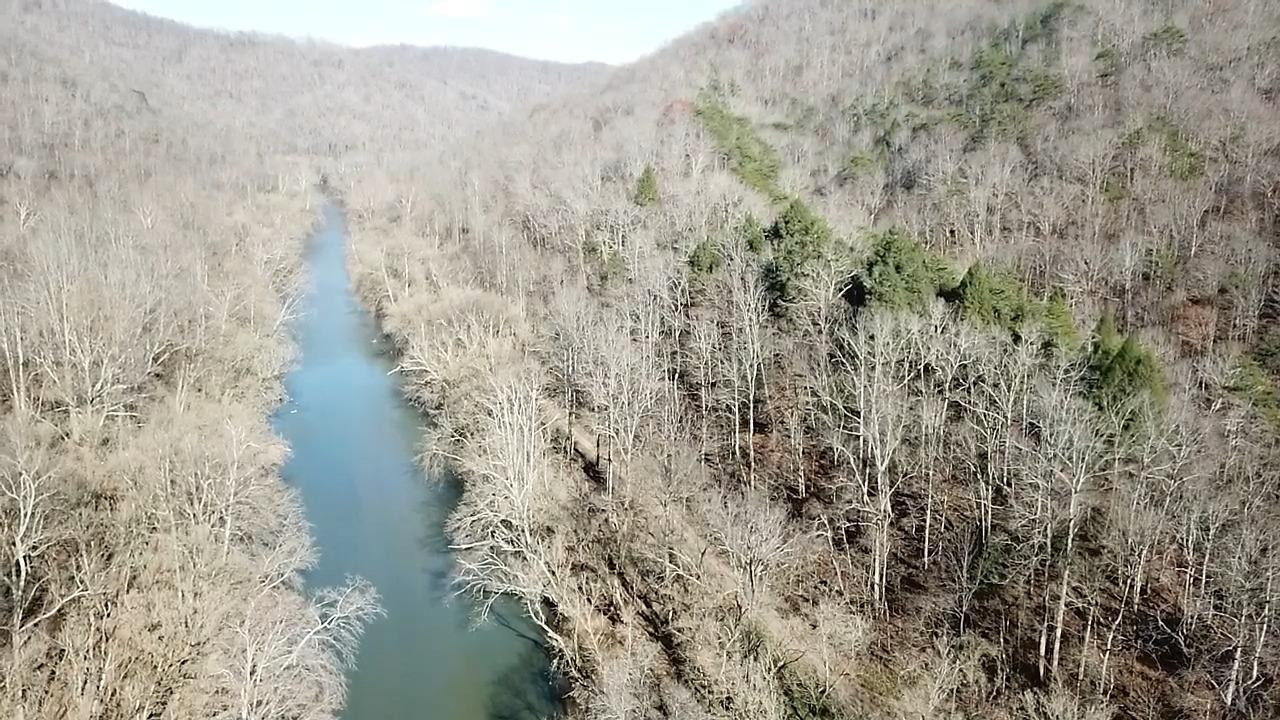 9999 Bishop Bend Road Oneida, KY 40972 - Photo 9 of 22 Photo 9