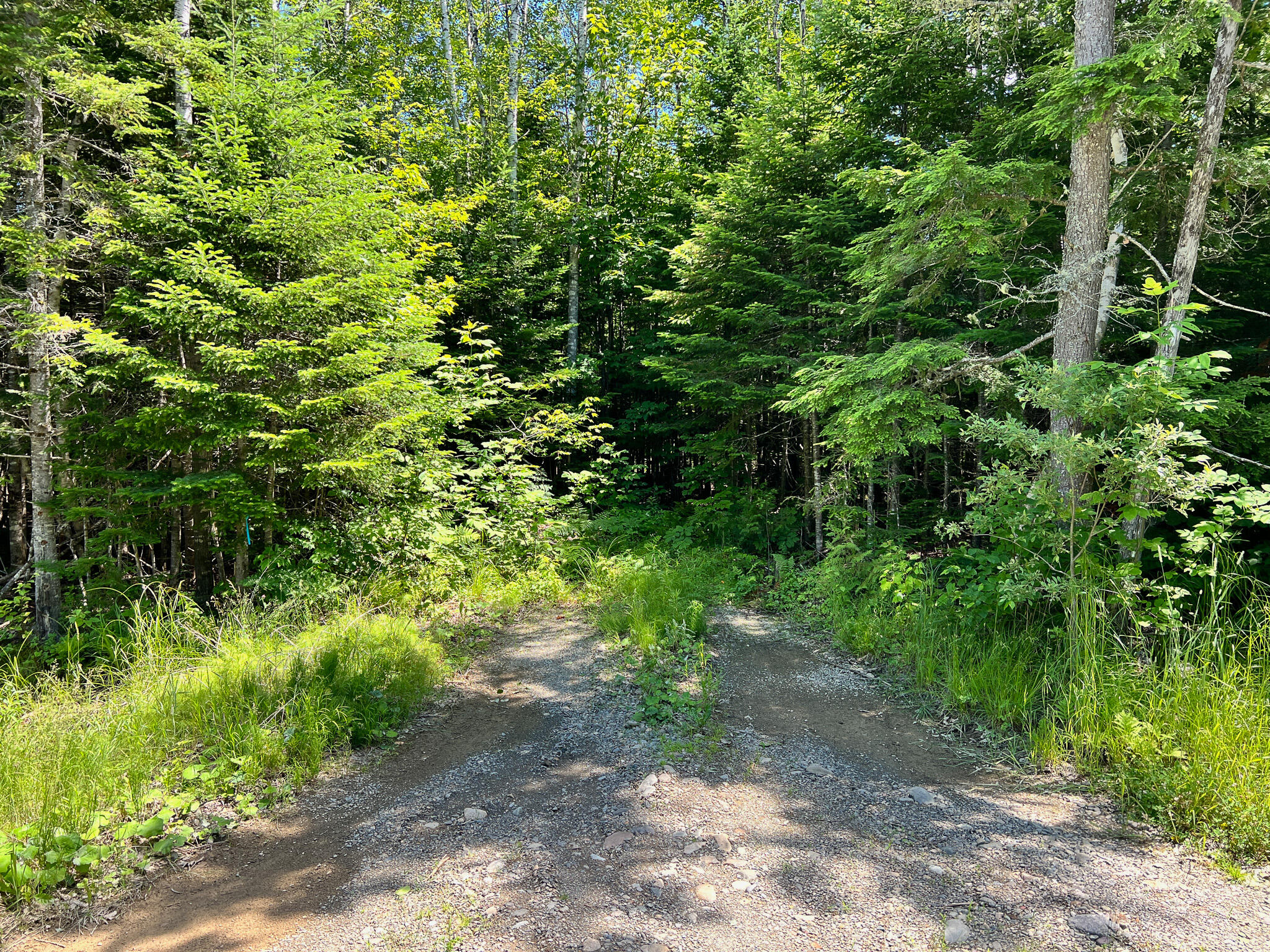 Lot 4 Woodland Ridge Road Danforth, ME 04424 - Photo 13 of 17