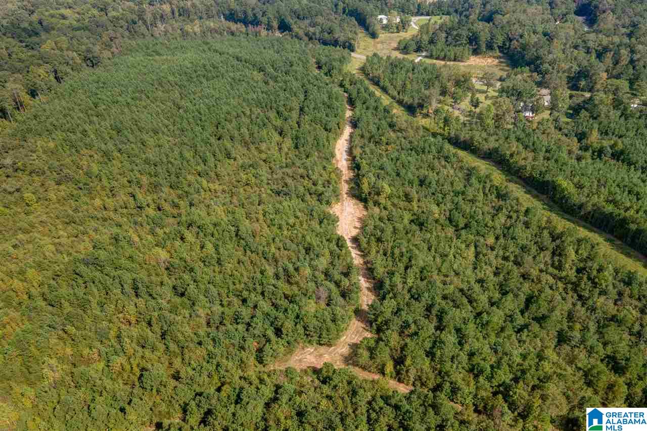 8967 Highway 55, Unit 2 & 3 Sterrett, AL 35147 - Photo 16 of 23