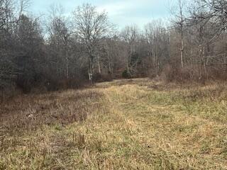 15620 County Rd WW-A Mountain View, MO 65548 - Photo 51 of 60 IMG_3493