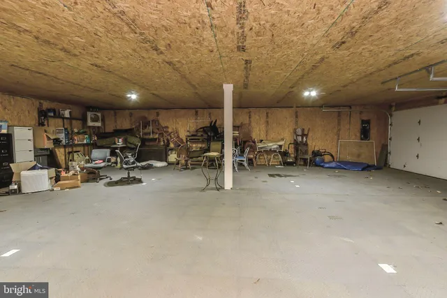 a view of a park with large trees