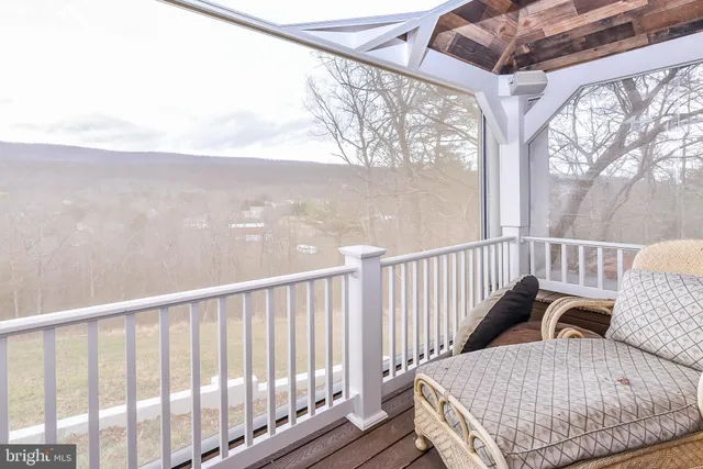 a view of a yard with large trees