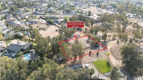 a sign that is on a tree