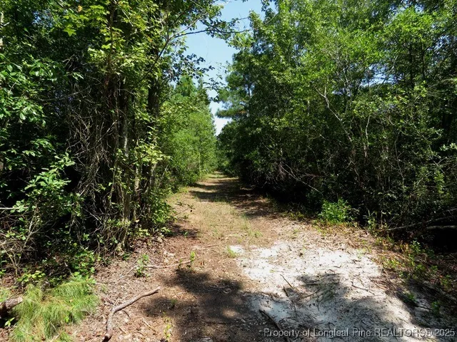 $175,000 | Tbd Tbd Alamac (off Of) Road, Lumberton, NC 28358