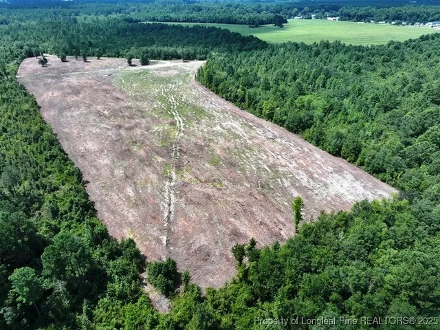 a view of a garden with a pathway