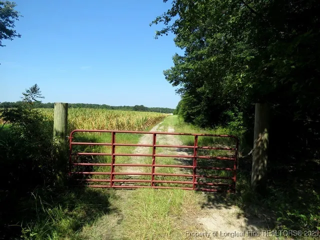 a view of a field with plants and trees in the background