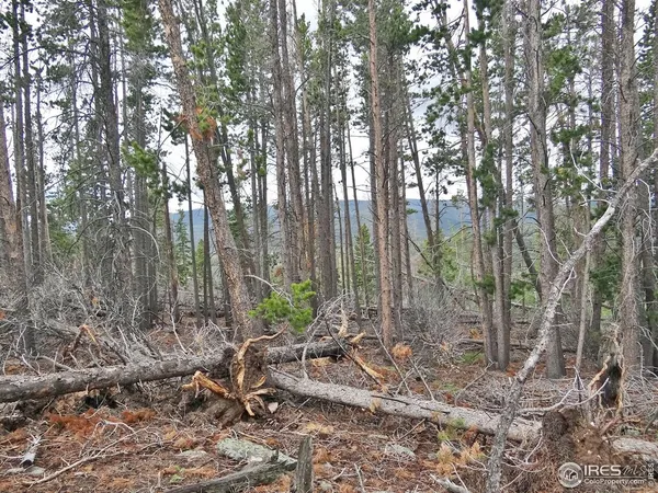 a view of backyard with green space