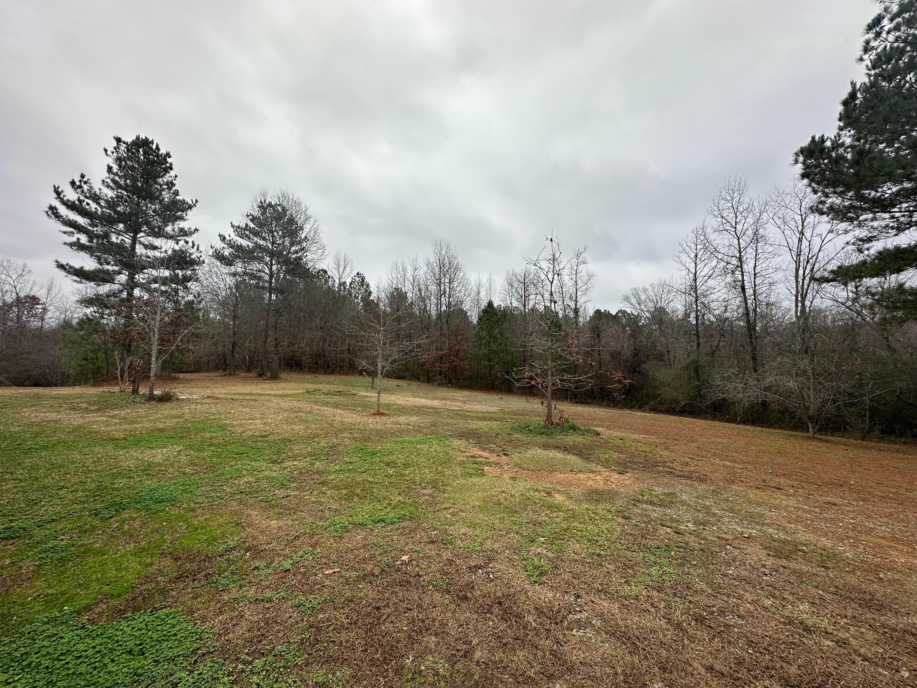 173 Barton Chapel Loop Road Cordova, AL 35550 - Photo 17 of 23 Gallery Image 17
