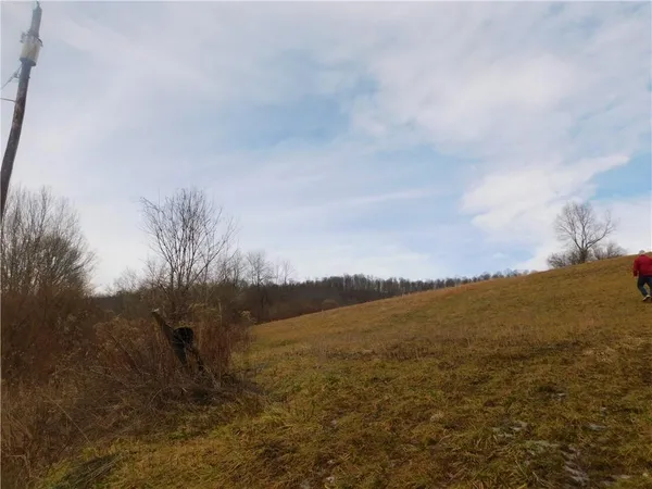 a view of a dry yard with mountain