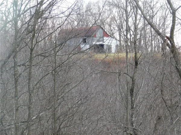 a view of tree in front of a house