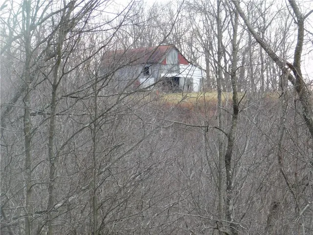 a view of tree in front of a house