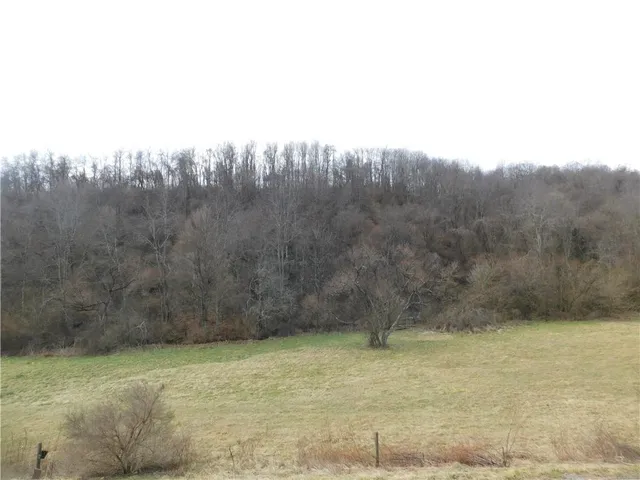 a view of basketball court