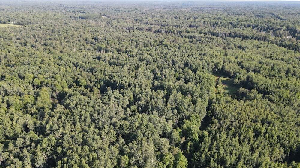 East Procunier Road Harrisville, MI 48740 - Photo 18 of 78 DJI_0960
