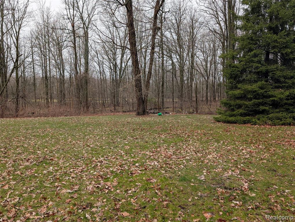 9345 Weber Road Columbus, MI 48063 - Photo 4 of 29