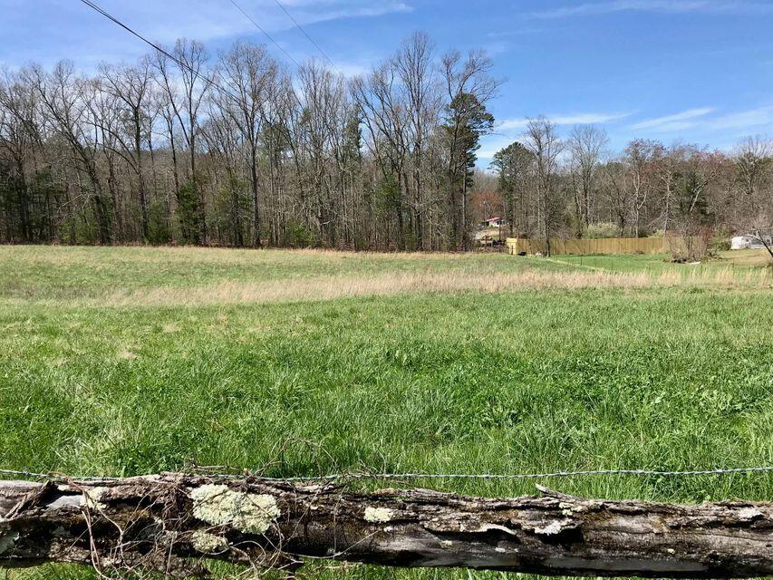 209 Massingale Road Tellico Plains, TN 37385 - Photo 1 of 6 Massingale Rd. 1