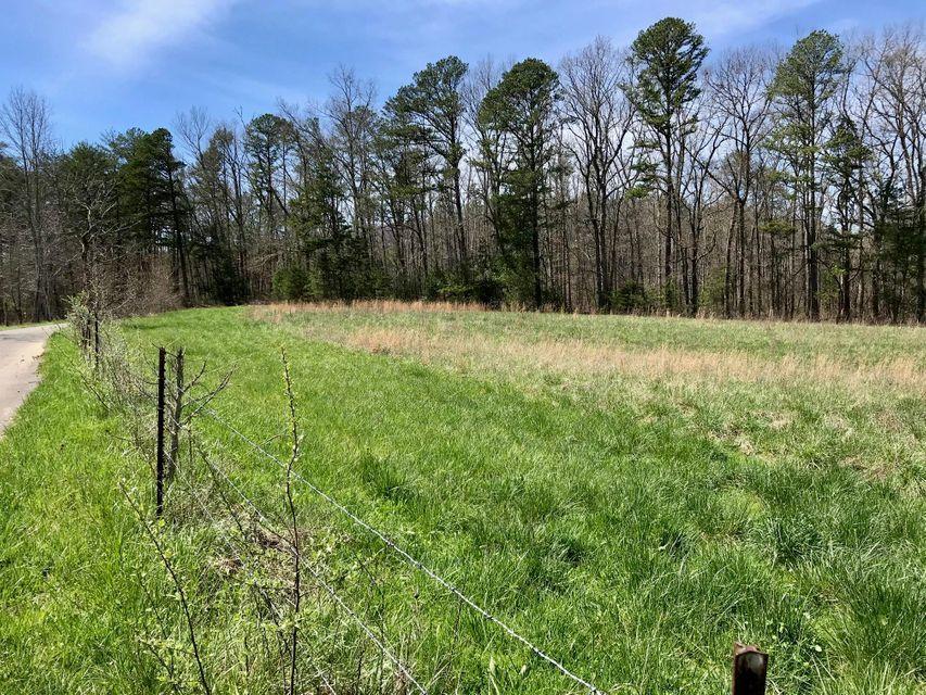 209 Massingale Road Tellico Plains, TN 37385 - Photo 2 of 6 Massingale Rd.2