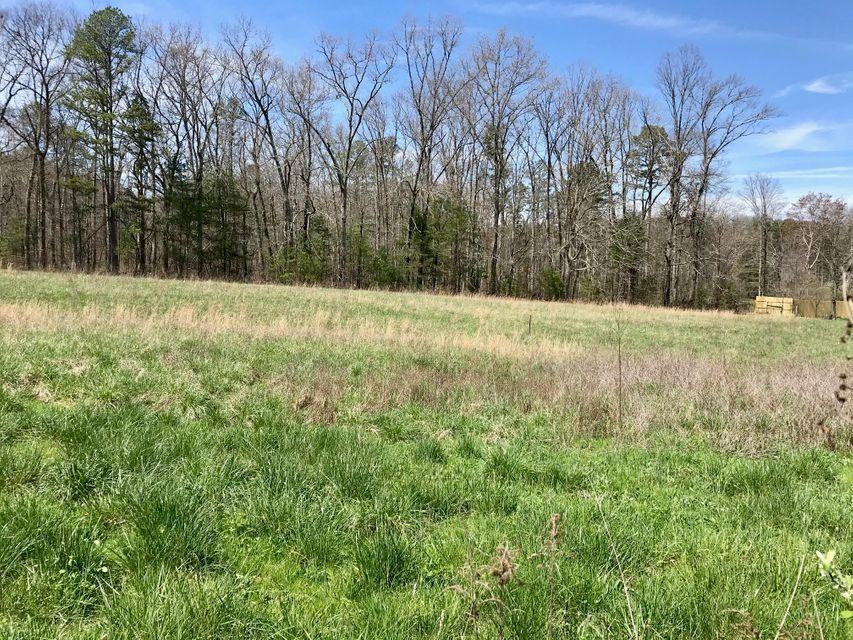 209 Massingale Road Tellico Plains, TN 37385 - Photo 3 of 6 Massingale Rd. 3