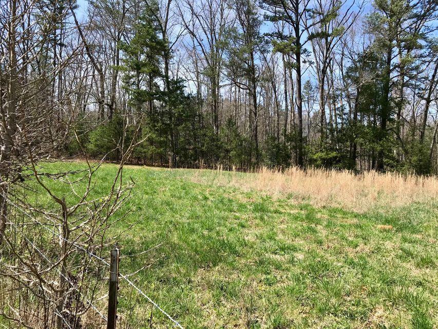 209 Massingale Road Tellico Plains, TN 37385 - Photo 4 of 6 Massingale Rd.5