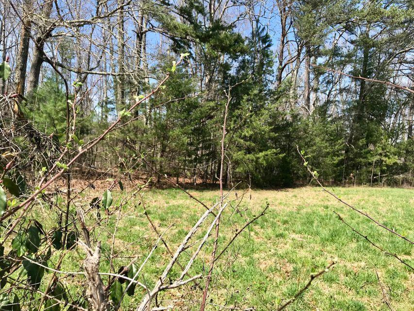 209 Massingale Road Tellico Plains, TN 37385 - Photo 5 of 6 Massingale Rd.7
