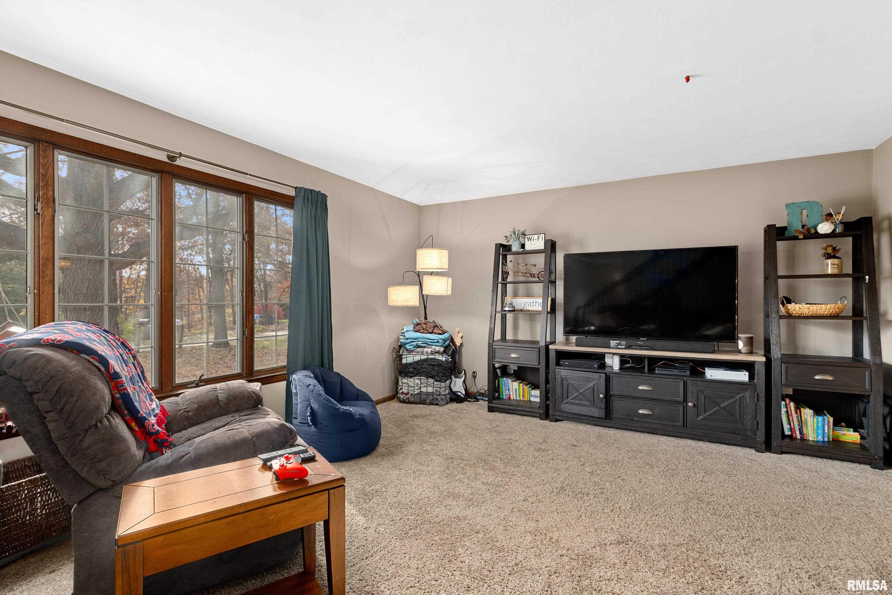24468 East Oak Park Road Canton, IL 61520 - Photo 12 of 45