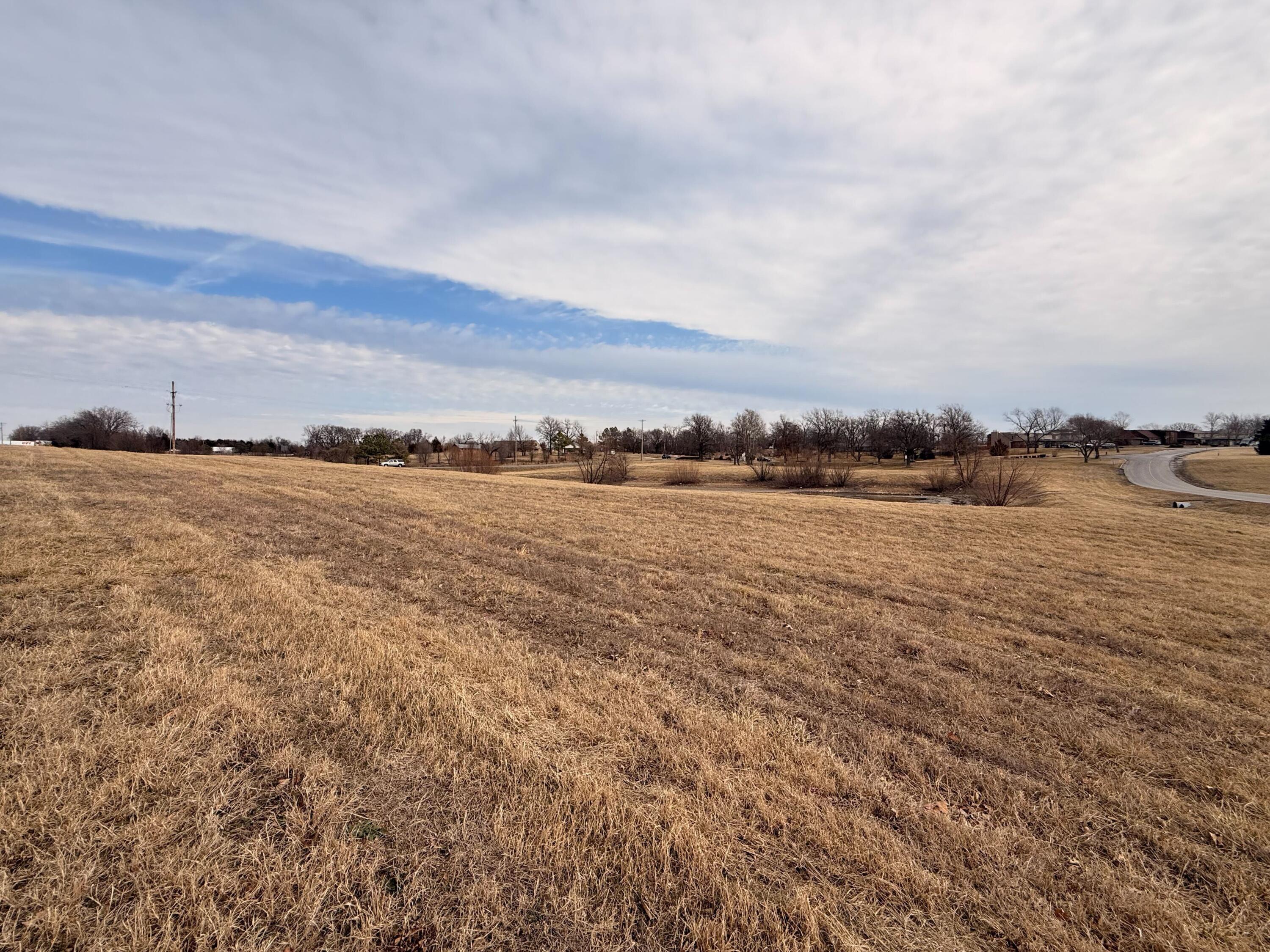 0 Raintree Circle Joplin, MO 64804 - Photo 23 of 26 IMG_8690