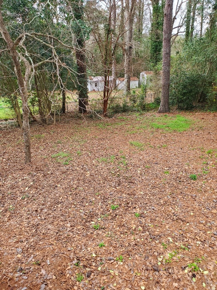 6311 Gable Avenue Columbus, GA 31909 - Photo 23 of 27 a view of a yard with a tree