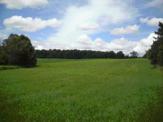 On Oak Ridge Lane Catawba, WI 54515 - Photo 4 of 5 Gallery Image 4