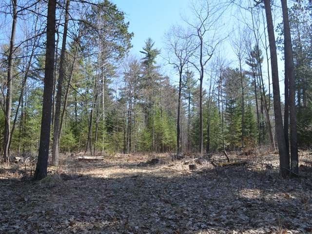 W5456 Koth Road Tomahawk, WI 54487 - Photo 19 of 20 Gallery Image 19
