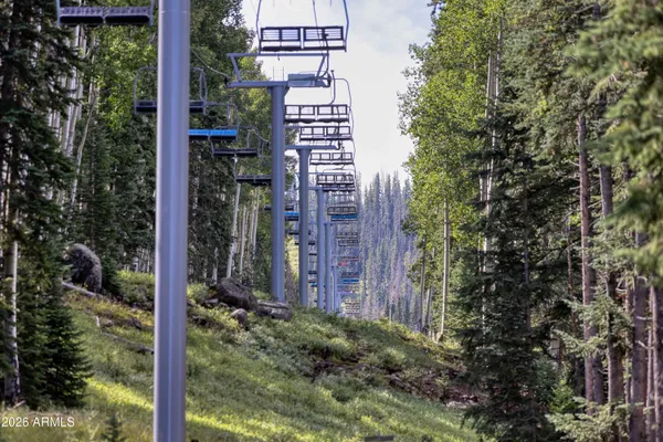 a view of a wooden building