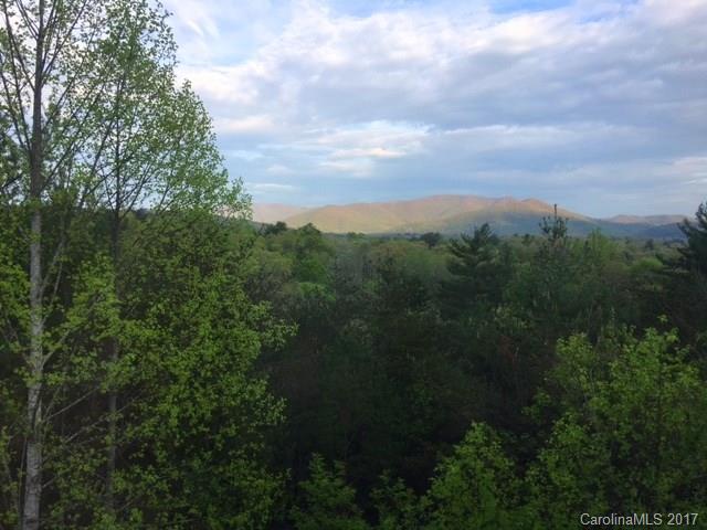 8 Rocking Porch Road, Unit 8 Asheville, NC 28805 - Photo 3 of 23 Gallery Image 3