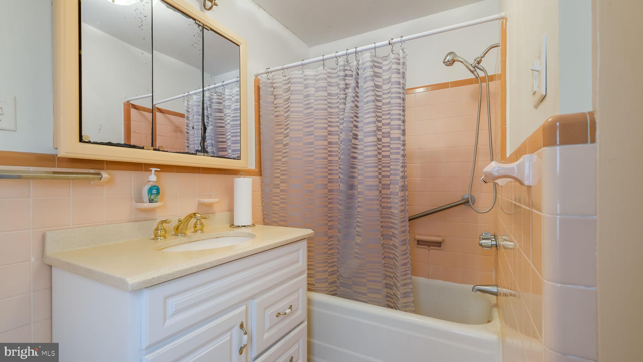209 Old Bethlehem Road Perkasie, PA 18944 - Photo 16 of 23 a bathroom with a sink and a mirror