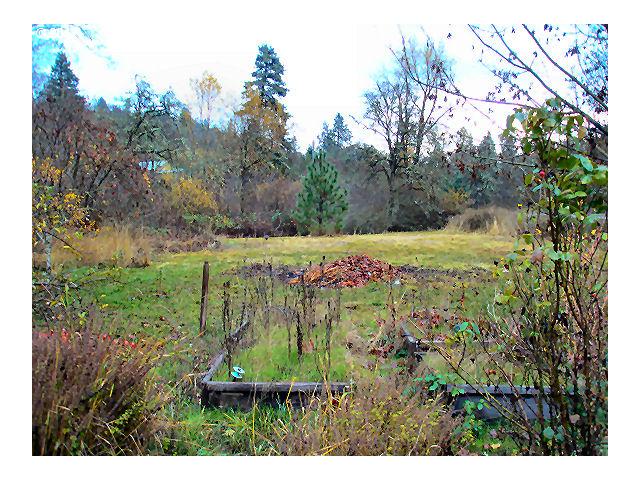 693 Dry Creek Road Mosier, OR 97040 - Photo 7 of 16 Gallery Image 7