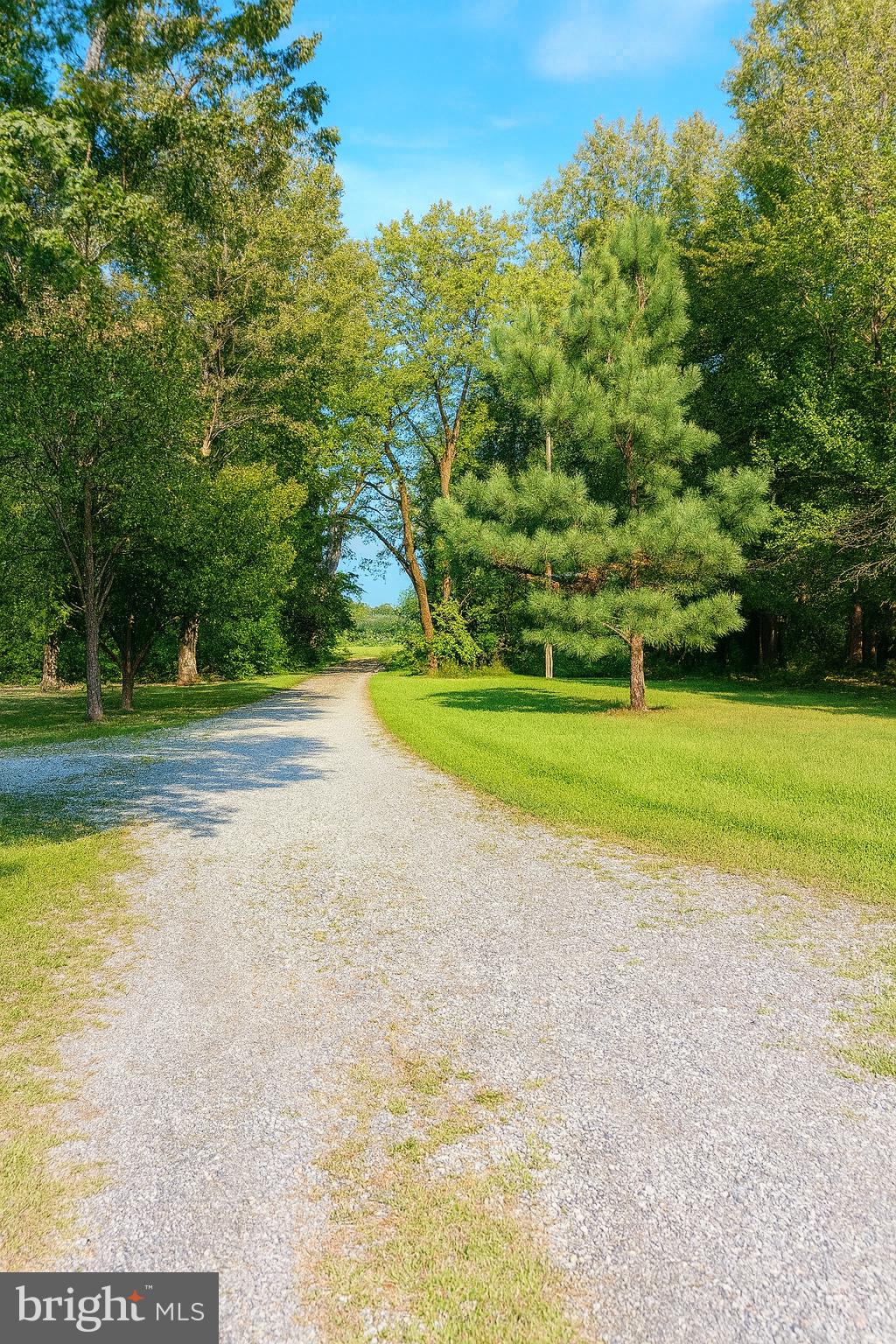 3290 Hartly Road Hartly, DE 19953 - Photo 12 of 13 a view of a volley ball court