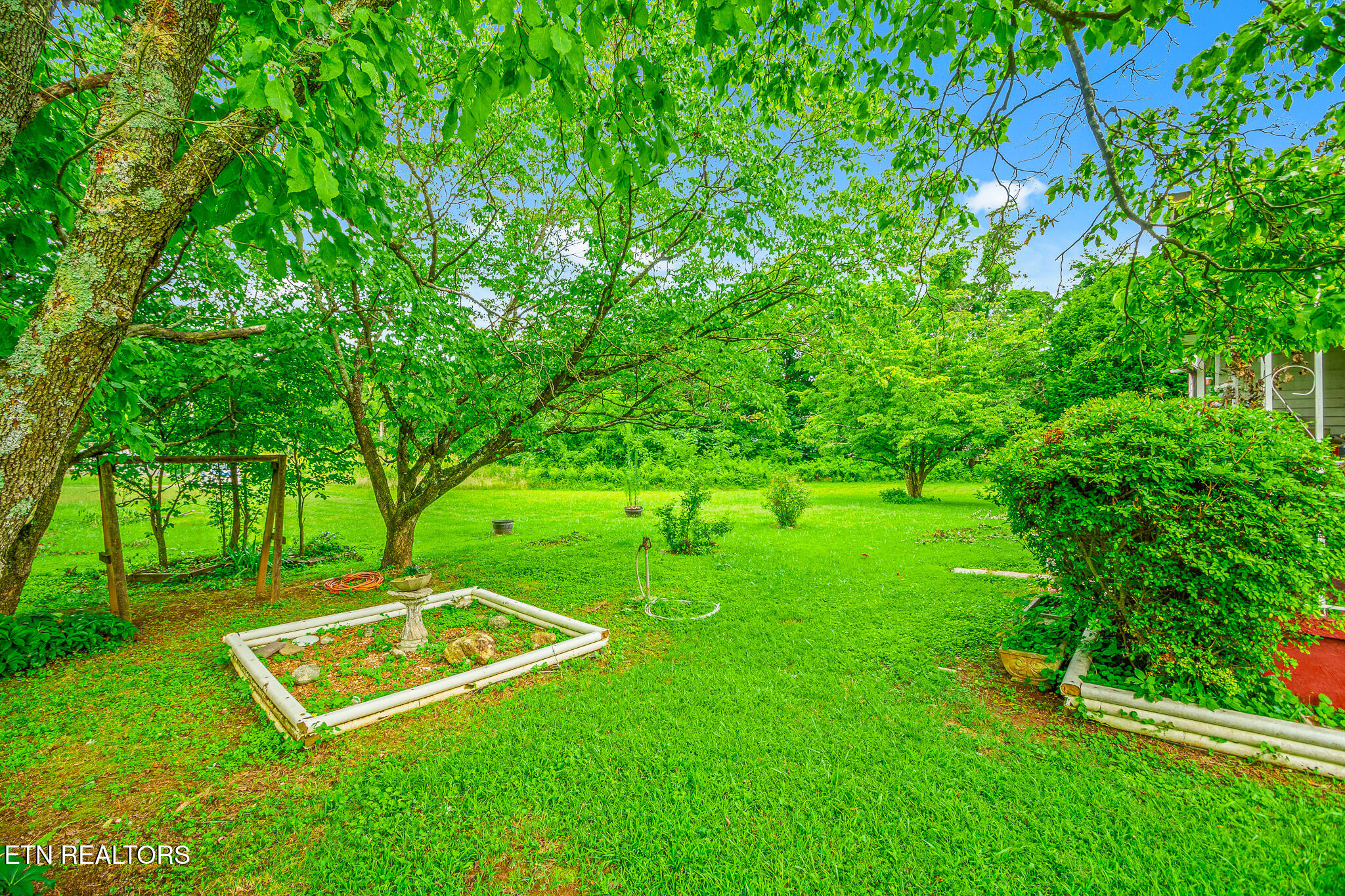 2205 Shipetown Road Mascot, TN 37806 - Photo 15 of 28 DSC00353