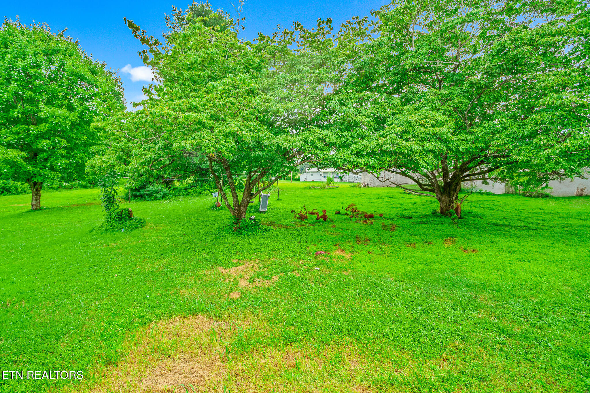 2205 Shipetown Road Mascot, TN 37806 - Photo 17 of 28 DSC00367