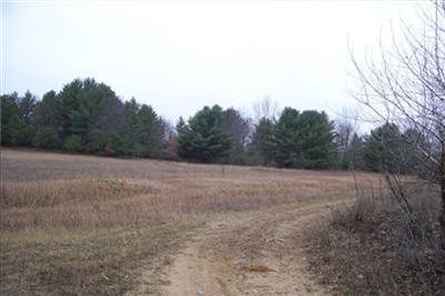 11275 West Chapman Road Blanchard, MI 49310 - Photo 5 of 7 Additional Photo