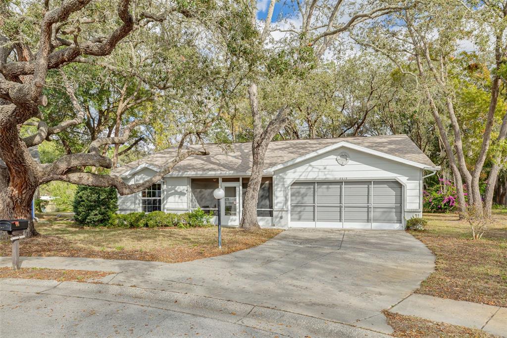 8619 Gold Pine Drive Port Richey, FL 34668 - Photo 1 of 1 a front view of a house with a yard